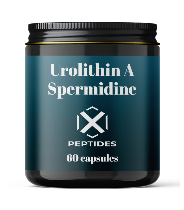 Urolithin A + Spermidine