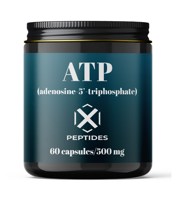 ATP (adenosine-5’-triphosphate)